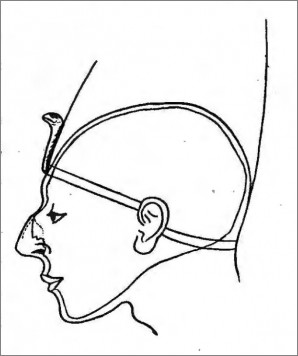Gesichtsrekonstruktion Thutmosis' III. anhand des Schädels. Bild aus G.E.Smith, The Royal Mummies, 1912, Copyright expired
